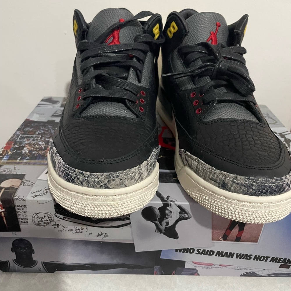 Nike Air Jordan Retro Animal Instinct 3